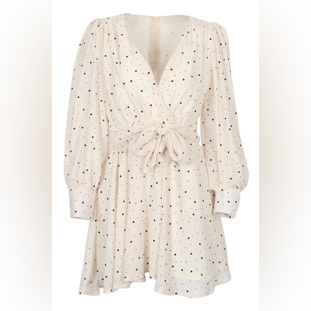 Like New - Zara Cream Dress with Black Velvet Dots (S)